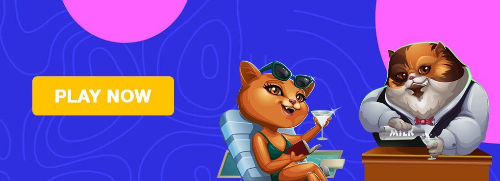 CatCasino No Deposit Bonus Codes