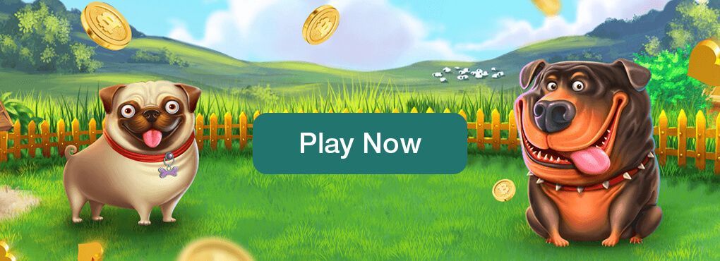 Cobber Casino No Deposit Bonus Codes